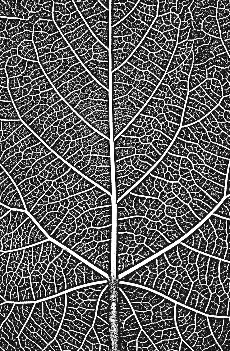 Vettore struttura dell'opuscolo delle foglie dell'albero di angoscia sfondo grunge bianco e neroeps8 illustrazione vettoriale