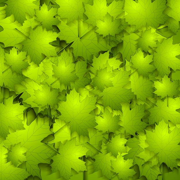 Struttura di vettore delle foglie verdi di estate