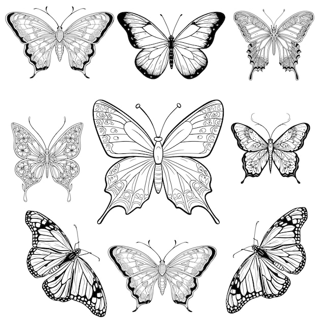 Sublimazione del fascio di farfalle