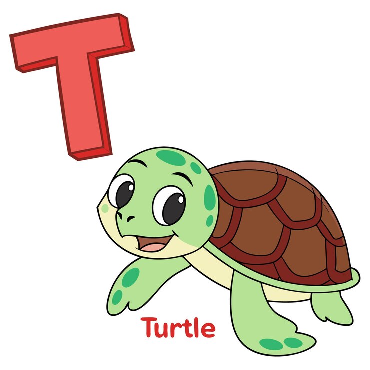 Vettore t è per turtle illustrazione carina per l'apprendimento prescolare con la lettera t design