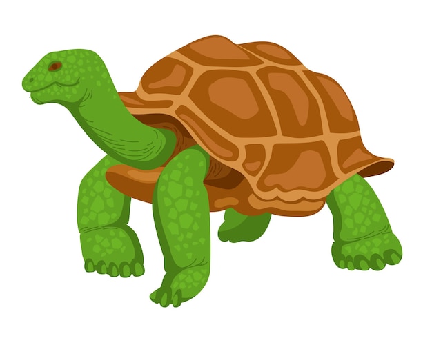 Tartaruga gigante rettile animale selvatico illustrazione vettoriale isolato su sfondo bianco