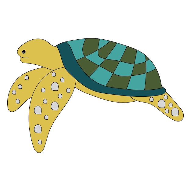 Tartaruga marina Clipart Animali acquatici e animali marini Clipart