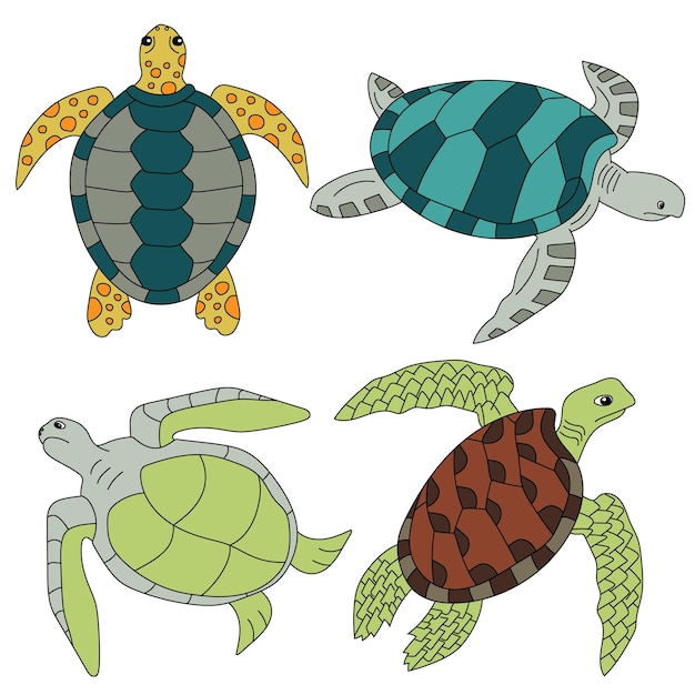 Tartaruga marina Clipart Animali acquatici e animali marini Clipart