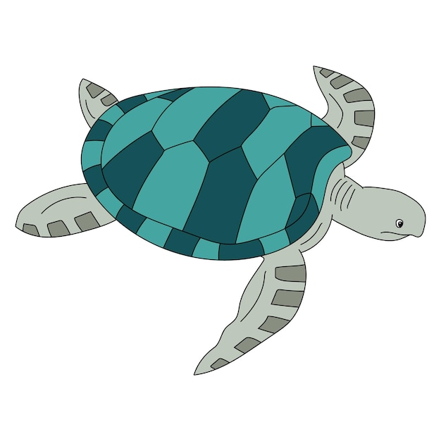 Tartaruga marina Clipart Animali acquatici e animali marini Clipart