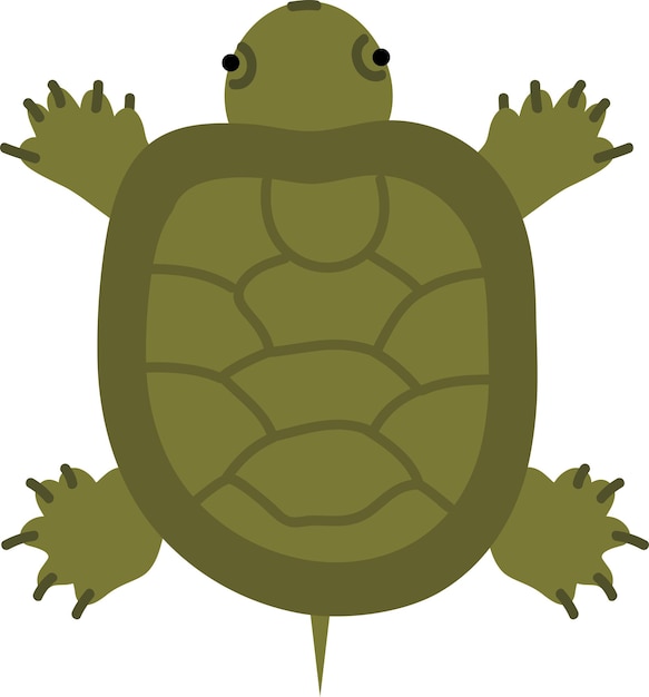 Tartaruga oceanica in stile disegnato a mano