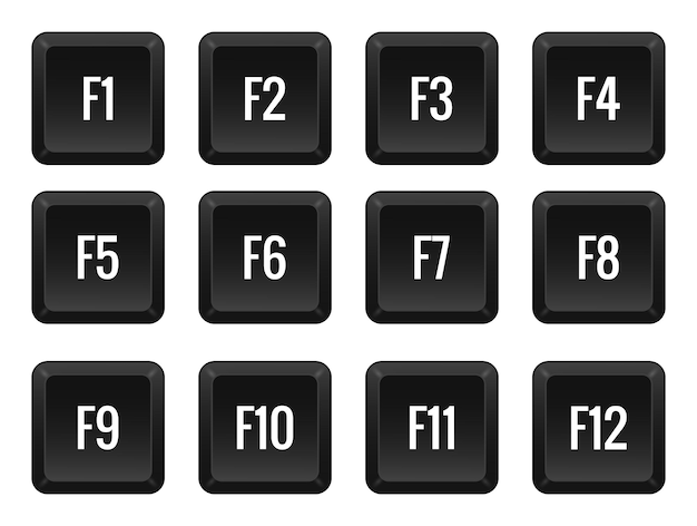 Tasti funzionali del computer F1 F2 F3 e così via Tasti veloci combinazione controllo macro scorciatoia comando input type enter layout computer laptop illustrazione vettoriale