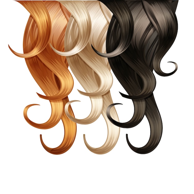 Tavolozza dei capelli ricci su fondo bianco