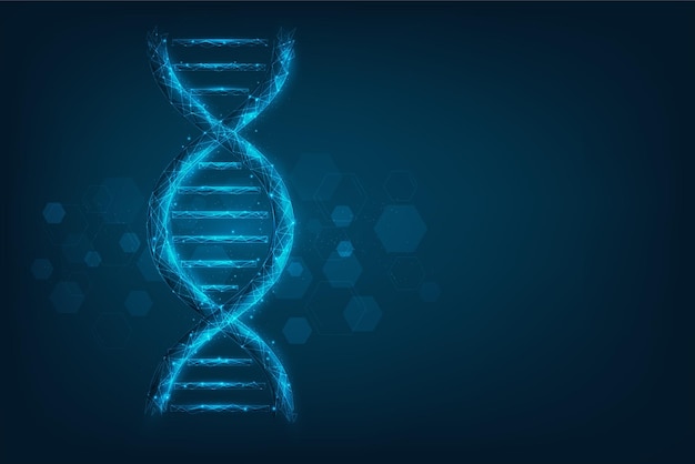 Tecnologia scienza codice dna low poly wireframe di linee di punti su sfondo blu scuro scienza.