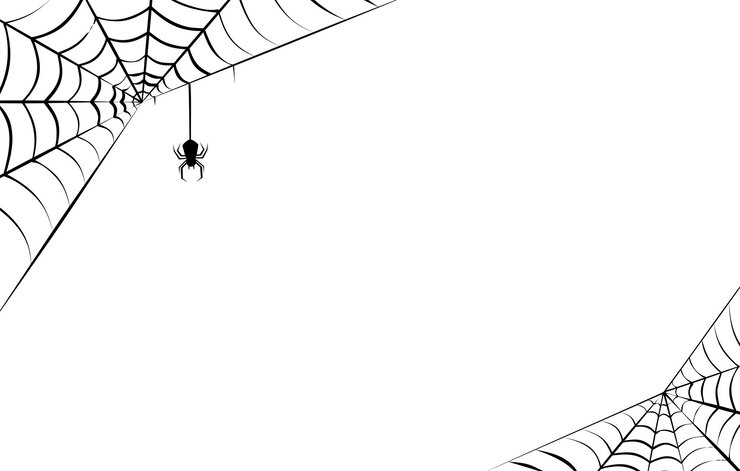 Vettore telaia di ragno colore nero su sfondo bianco per halloween