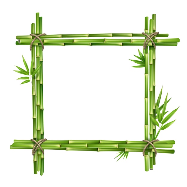 Telaio Vector da steli di bambù e foglie legate con corda isolato su sfondo bianco