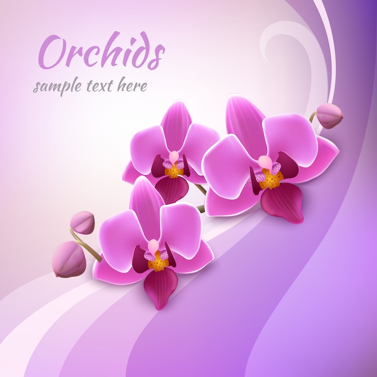 Vettore tema di sfondo orchid