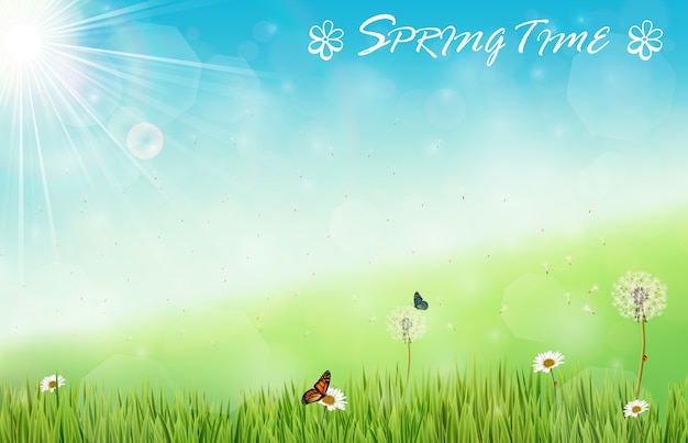 Tempo Primavera sfondo
