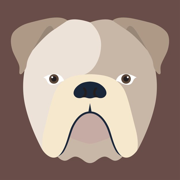 Testa di cane bulldog