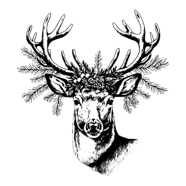 Testa di cervo di Natale disegnata a mano