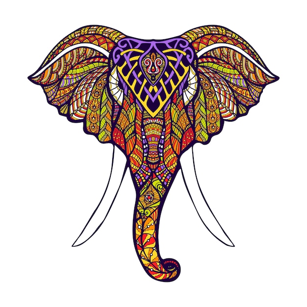 Testa di elefante colorata