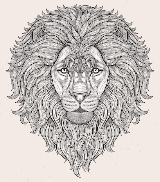 Testa di leone disegnata a mano in linee isolate su sfondo bianco