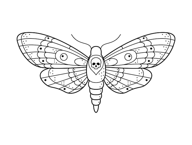 Testa di morte stilizzata in bianco e nero hawkmoth Illustrazione vettoriale ornata di arte al tratto disegnata a mano