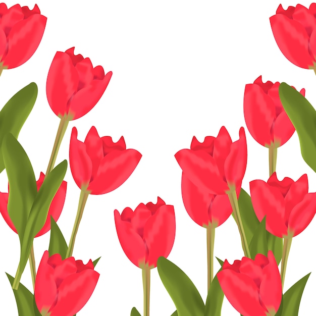 Testo di primavera con bouquet di fiori rossi tulipani.