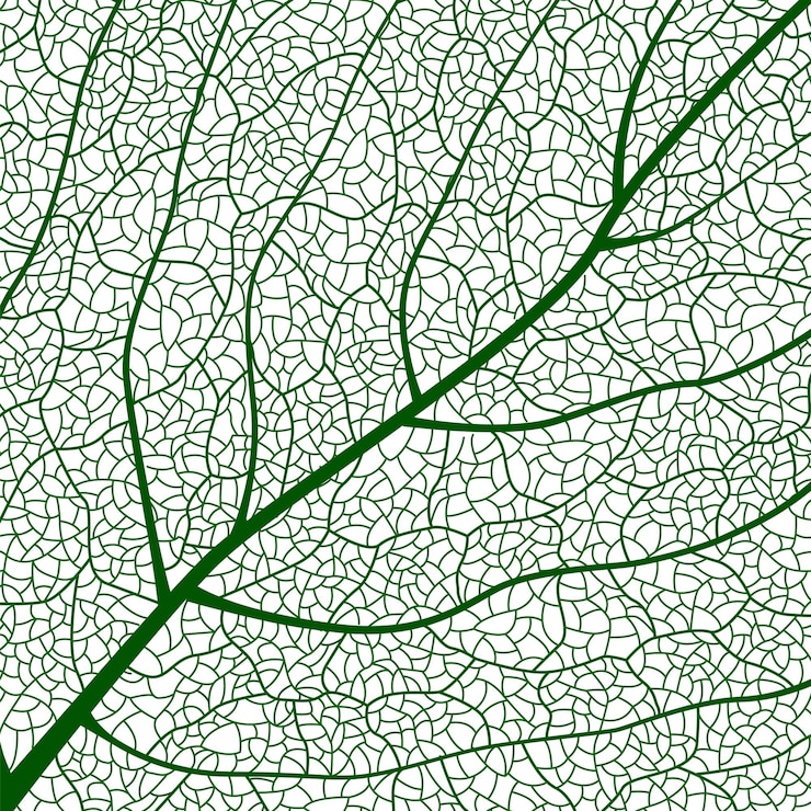 Vettore testura verde delle foglie in primo piano con dettagli intricati delle vene delle foglie che mostrano la natura botanica