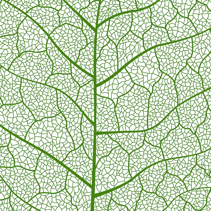 Vettore testura verde delle foglie in primo piano con dettagli intricati delle vene delle foglie che mostrano la natura botanica