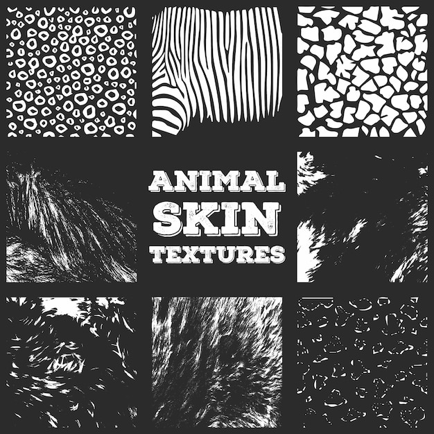 Texture di pelle animale, texture vettoriali, set di sfondo
