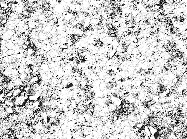 Texture sovrapposta invecchiata di pelle naturale