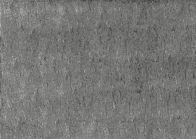 Texture sovrapposta invecchiata di pelle naturale