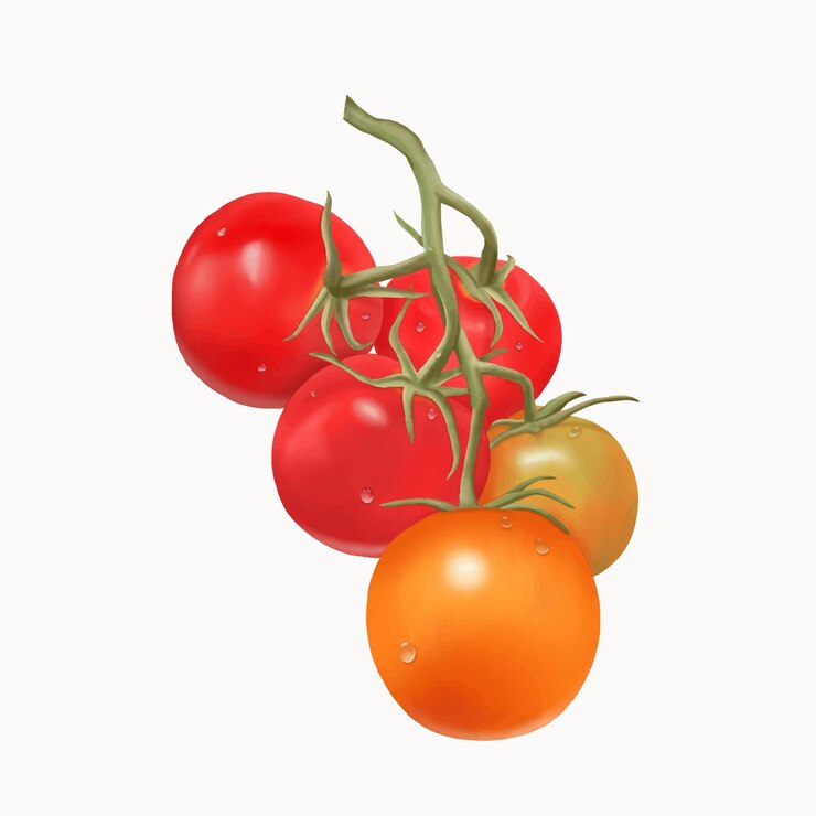 Thomas Pomodori Pittura Sfondo Bianco