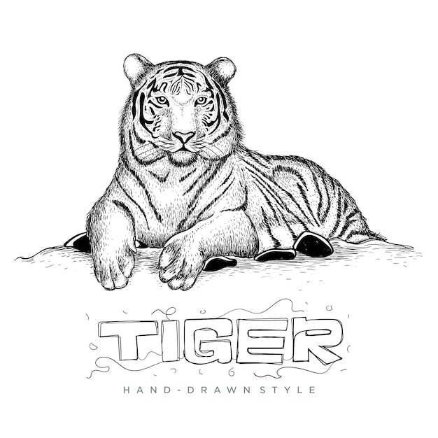 tigre seduta di relax, illustrazione di animali in mano disegno