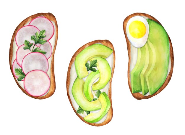 Toast vegetariani di pane di segale con hummus, avocado e ravanello