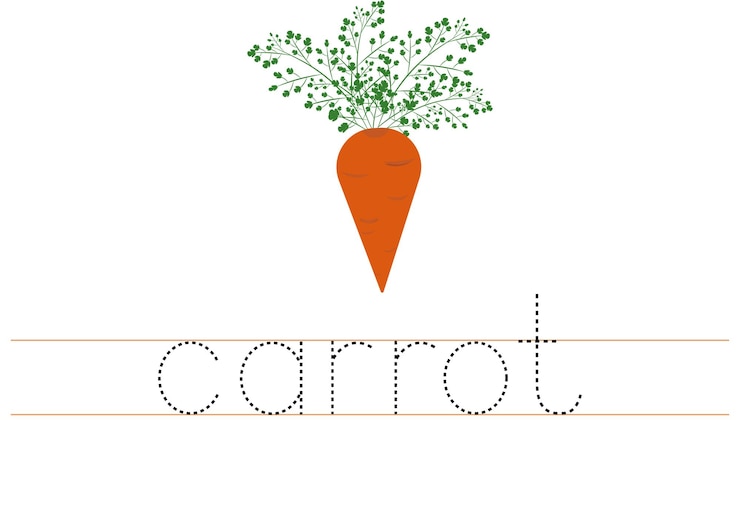 Vettore traccia parola carota foglio di lavoro in inglese per bambini cartone animato carota colorata