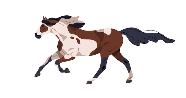 Tratto di galoppo del cavallo in corsa Stallone selvaggio macchiato di razza calva che si muove a velocità elevata Vista laterale del profilo del cavallo da corsa Cavallo con criniera e coda Illustrazione vettoriale piatta isolata su sfondo bianco