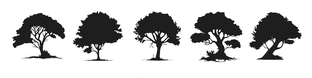 Tre alberi con le parole "albero" sul fondo