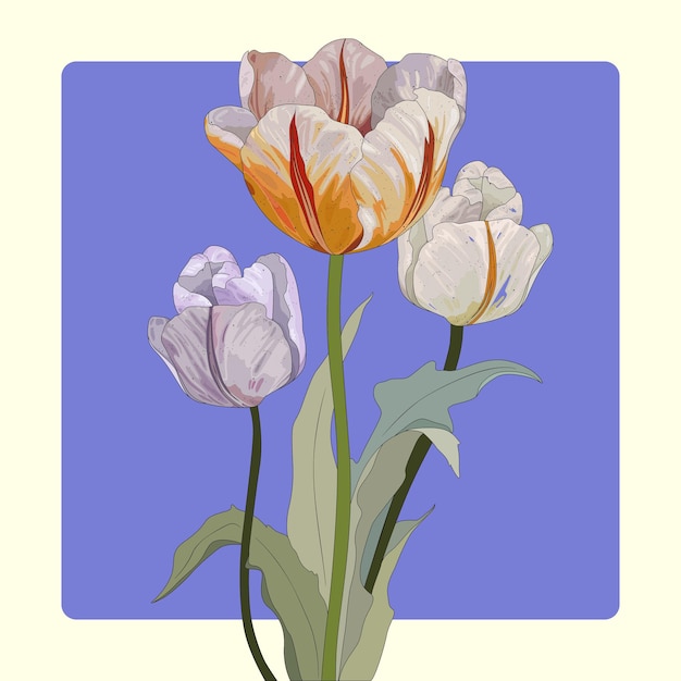 Tre eleganti tulipani che fioriscono in primavera