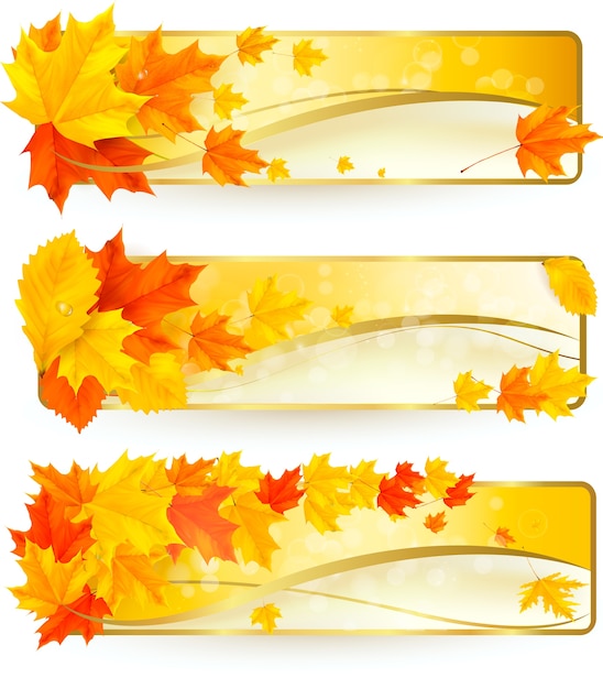 Tre striscioni autunnali con foglie colorate in cornici dorate