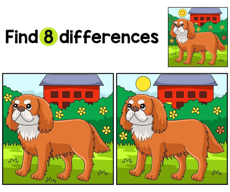 Vettore trova o rileva le differenze in questa pagina di attività per bambini di king charles spaniel dog è un gioco divertente ed educativo di puzzle per bambini