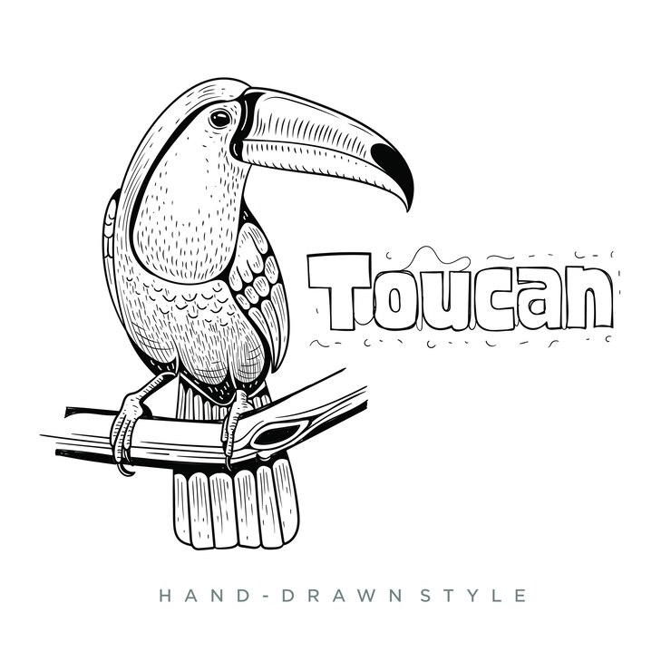 Vettore tucano illustrazione animale disegnato a mano