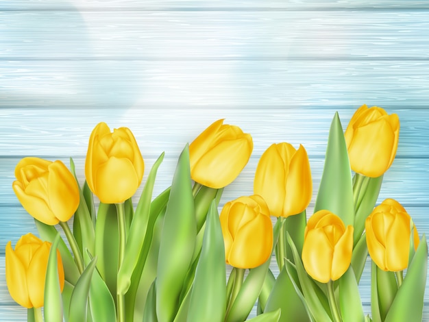 Tulipani della primavera su fondo di legno.