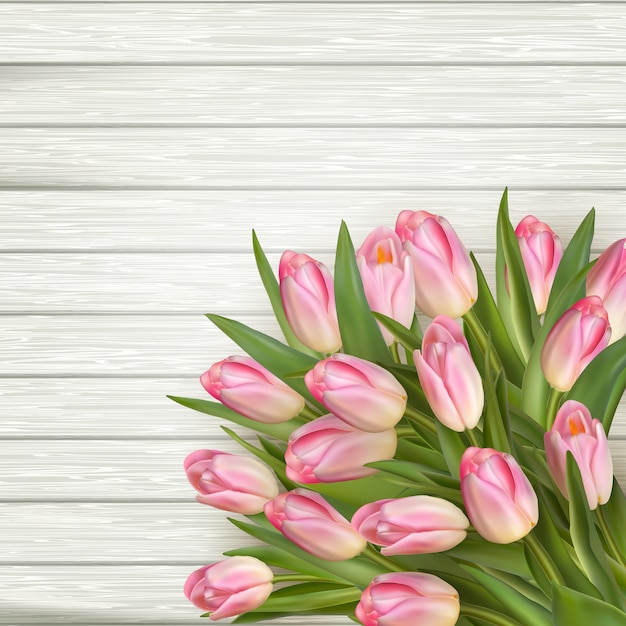 Tulipani rosa sopra la tavola di legno bianca, fondo