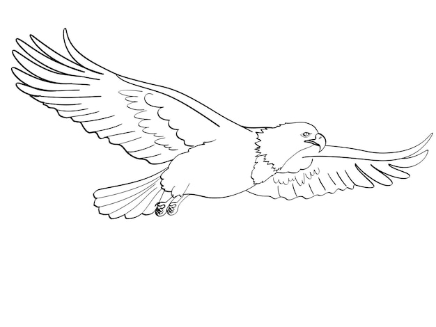 Uccello aquila falco un'imitazione retrò stile fumetto oggetto isolato sfondo bianco Libro da colorare