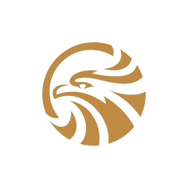 Uccello falco e cerchio telaio logo design aquila o falco distintivo emblema icona vettore