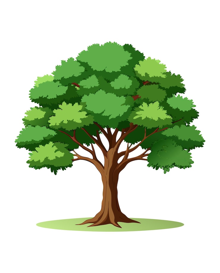 Vettore un albero a sfondo bianco e un disegno di un albero con le parole albero su di esso