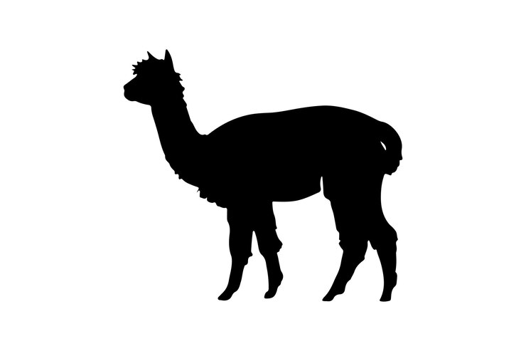 Vettore un alpaca in piedi di fronte a uno sfondo bianco
