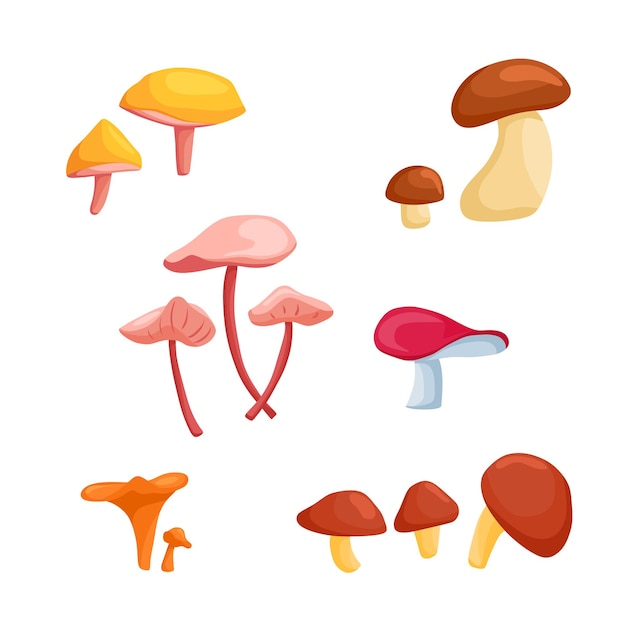 Un ampio set di illustrazioni vettoriali con funghi in stile cartone animato isolato su bianco