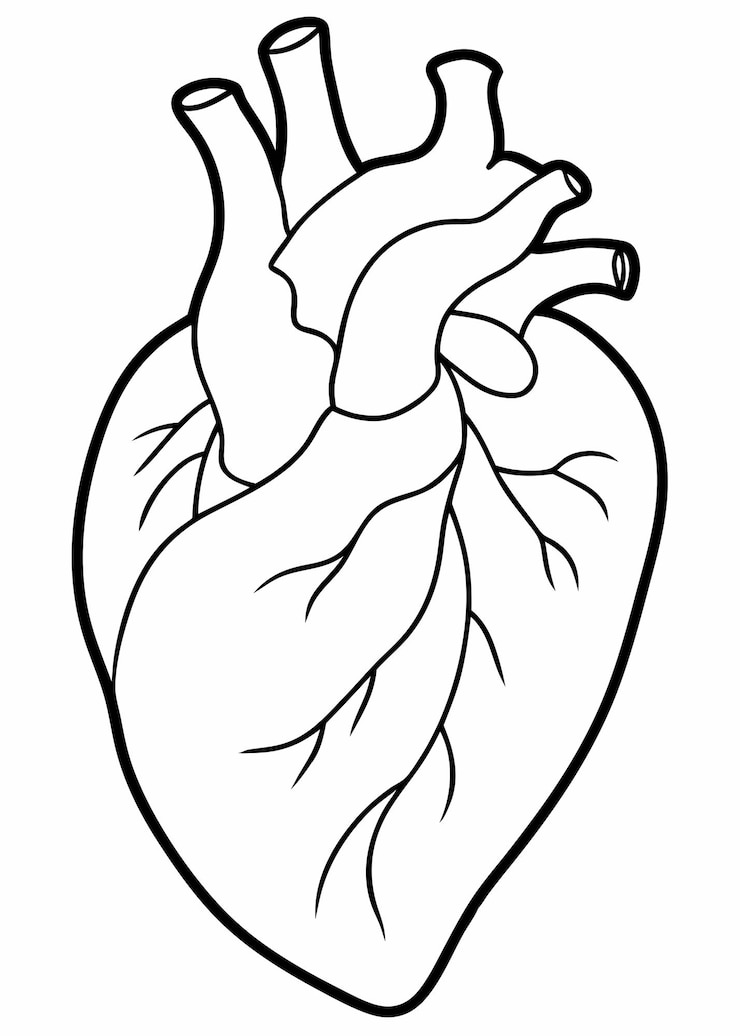 Vettore un'arte a linea del disegno del cuore umano decorazione murale a linea continua minima astratta