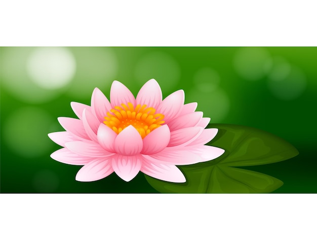 Un bellissimo fiore di loto rosa che fiorisce su uno sfondo verde
