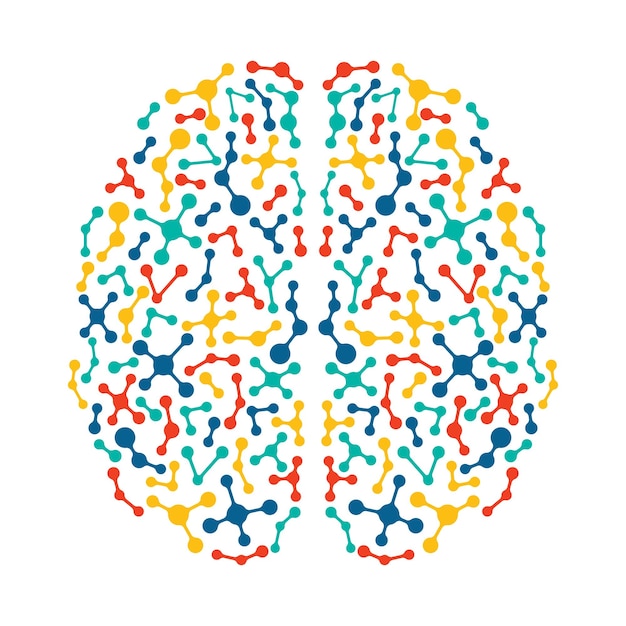 Un cervello colorato con sopra la parola cervello