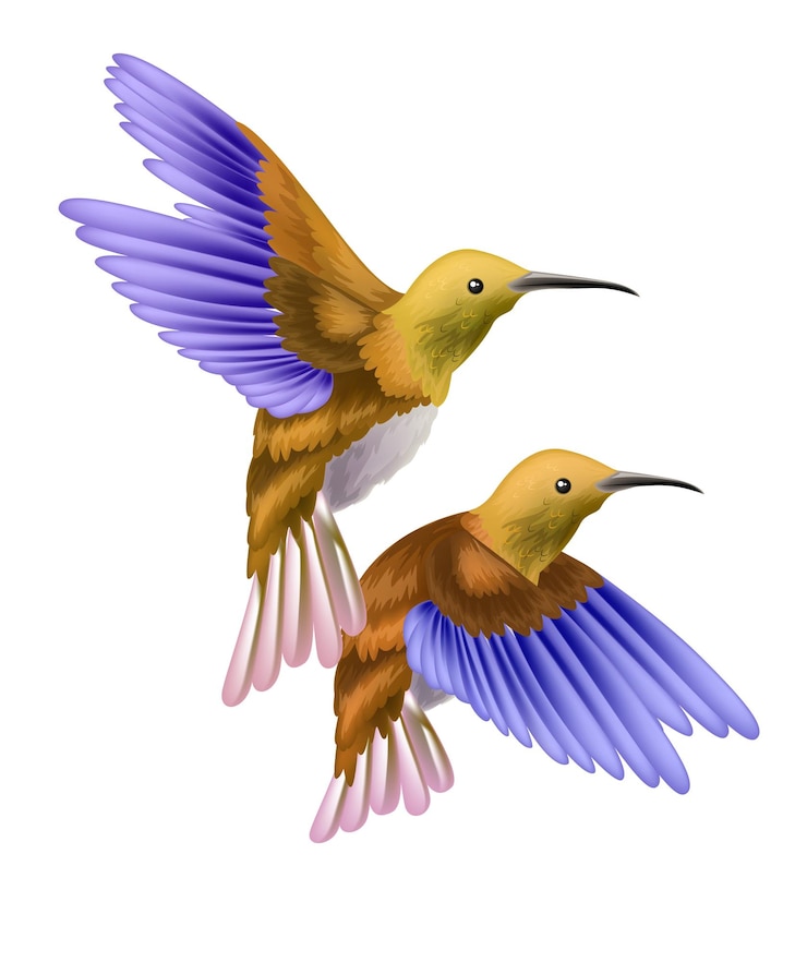 Vettore un colibrì cartone animato con le ali blu