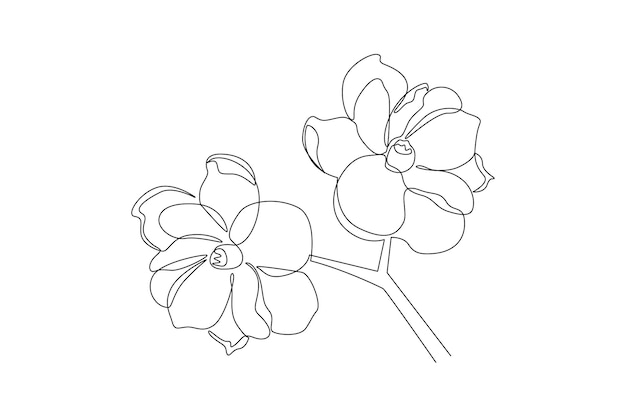 Un disegno a linea continua del concetto di fiori in fiore multicolori Illustrazione vettoriale Doodle in semplice stile lineare