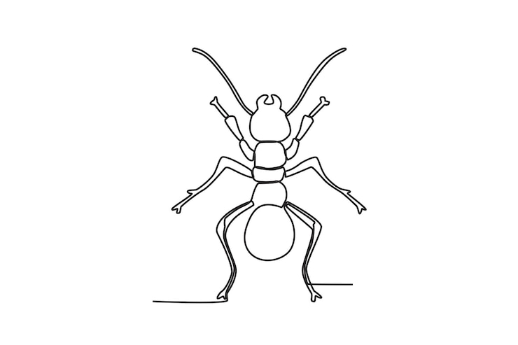 Vettore un disegno a linea singola continua di una formica per l'identità del logo dell'azienda agricola grafica a linea singola